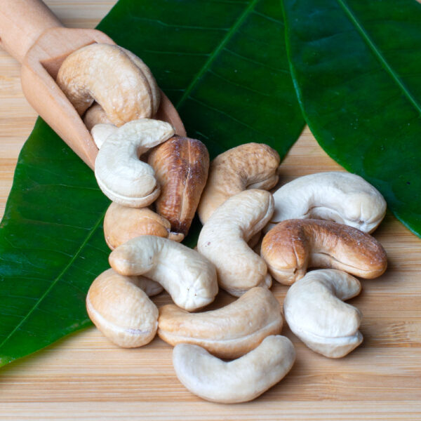 Cashews aus Sierra Leone