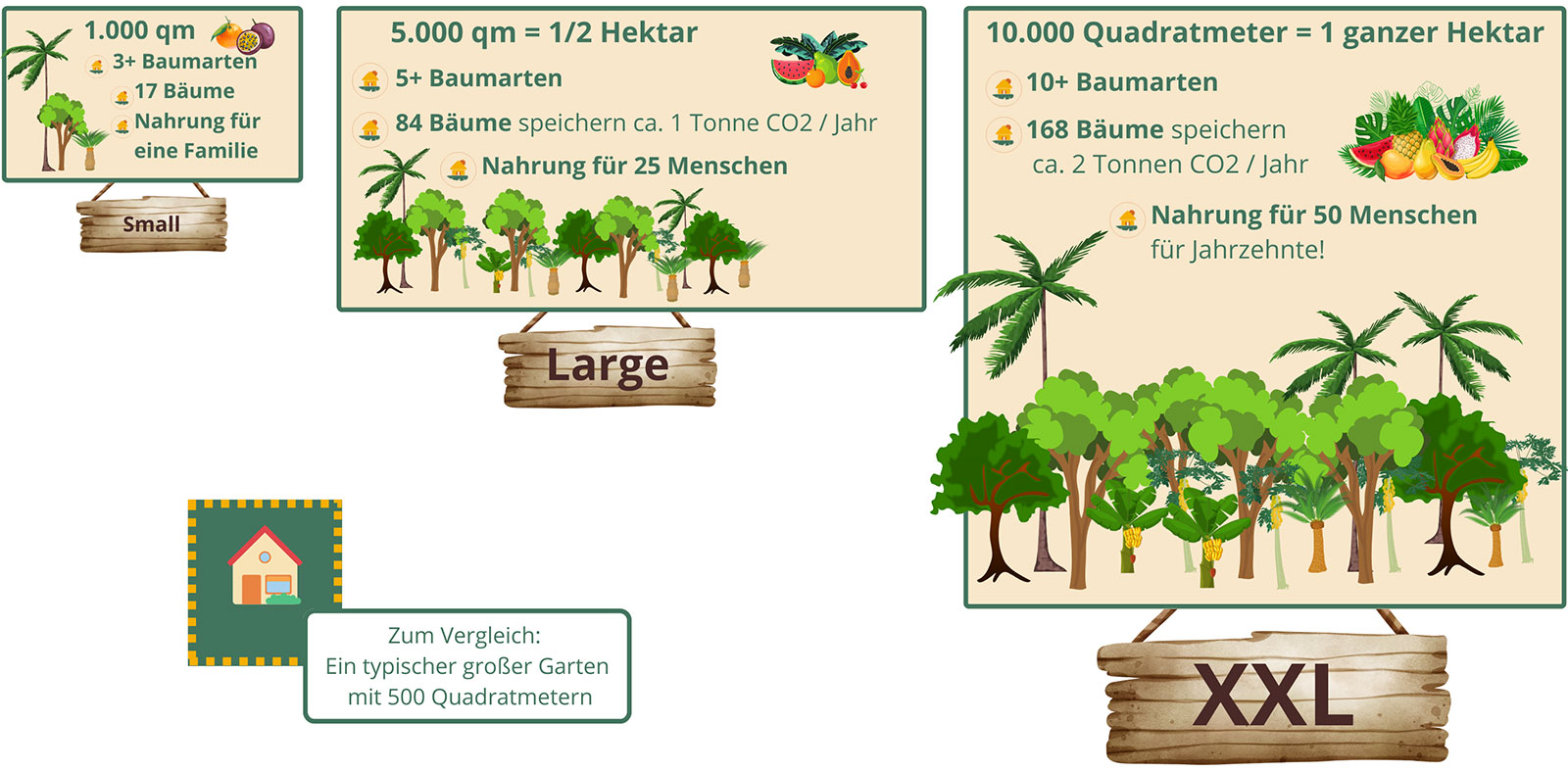 Wie groß soll Dein Wald werden? Größenvergleich für eine Waldpatenschaft