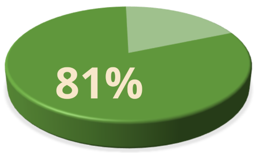 Kuchengrafik 81 Prozent