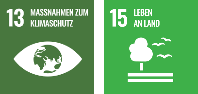 sdg 13 Maßnahmen zum Klimaschutz und 15 Leben an Land