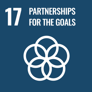 SDG 17 partnership for goals