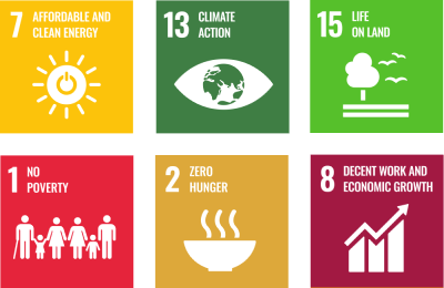 SDG 1, 2, 7, 8,13,15